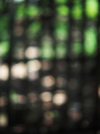 bokeh blur background green plantの写真素材