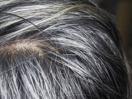 gray hair of a woman, closeup of photo with selective focusの写真素材