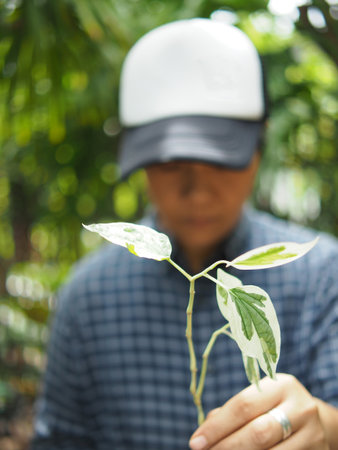 Young man holding a plant in the garden. Selective focus.の写真素材