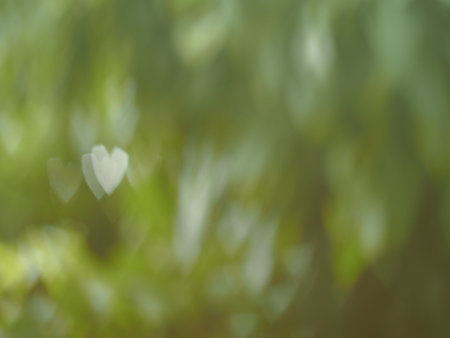 green bokeh background with heart shape, defocused background.の写真素材