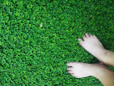 Top view of woman feet standing on green grass background with copy space
