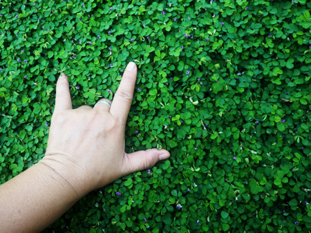 Hand show victory sign on green grass background, nature and environment conceptの写真素材