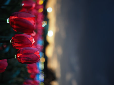 Red paper lanterns on the street with bokeh background.