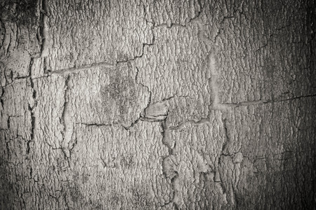 plank of wood backgroundの写真素材