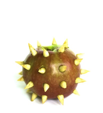 Prickly apple as a symbol of caution from a sinの写真素材