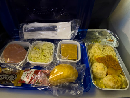 Dinner on board a Sunday Airlines flight. Overnight flight. economy class on Astana 14.09.2025, Kazakhstan.のeditorial素材