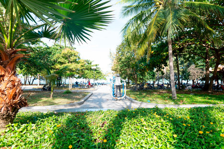 Sunny Outdoor Fitness Park in Tropical Coastal City with Palm Trees and Exercise Equipment for Healthy Lifestyle and Wellness Marketing Campaign Nha Trang 20.12.2025 Vietnamのeditorial素材
