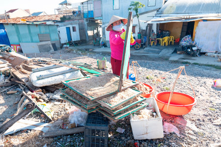 A woman in a pink jacket and conical hat handles stacked mesh drying frames filled with small shrimp in a sunlit outdoor area of a coastal settlement. Nha Trang 20.12.2025 Vietnamのeditorial素材