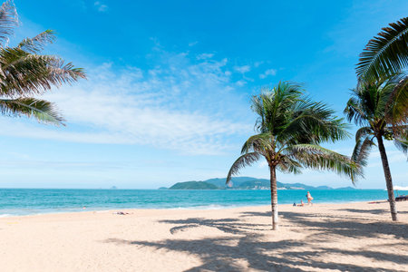 Tropical Beach Landscape with Palm Trees and Blue Sky in Southeast Asia, Sunny Summer Vacation Destination with Copy Space and Natural Bright Lighting Nha Trang 20.12.2025 Vietnamのeditorial素材