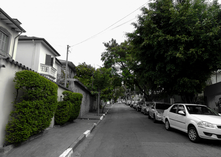 In a gray city nature cries out for his place.の写真素材