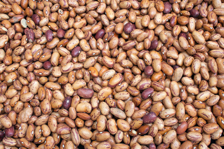 A flat image of Pinto Beans also known as alubia pinta alavesa or the Alavese pinto...
