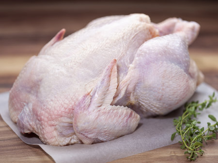 Whole fresh chicken with thyme on wax paperの写真素材