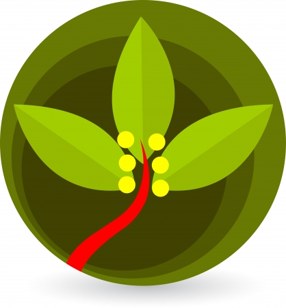 Illustration art of a leaf logo with isolated background のイラスト素材