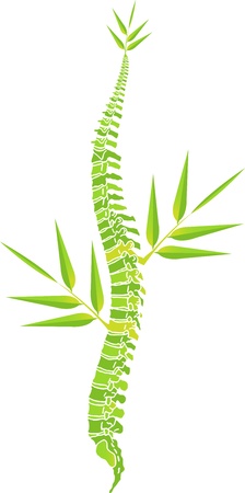 Illustration art of a man spine bamboo leaf with isolated backgroundのイラスト素材