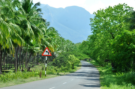 camera shot on curve road with traffic signの写真素材