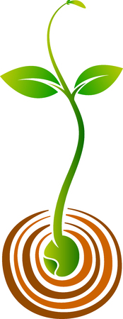 Illustration art of a growth plant icon design with isolated backgroundのイラスト素材