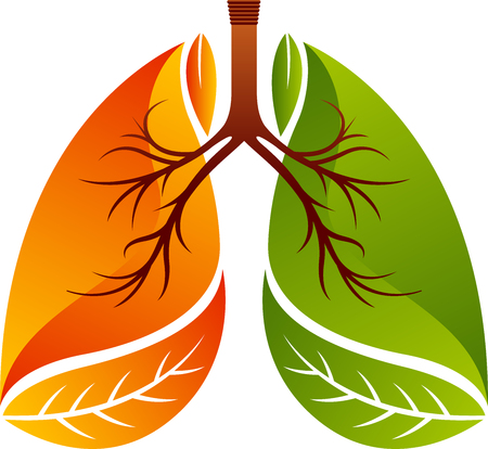 Illustration art of lungs icon design isolated backgroundのイラスト素材