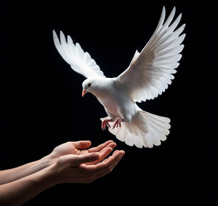 Freedom in Flight with black backgroundの写真素材