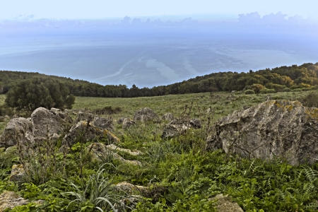 Pellegrinoの写真素材