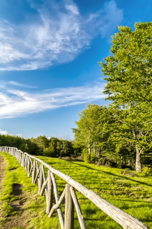 A path runs along the fence of a park on the mountain Pratomagno in Tuscany (Italy).の写真素材