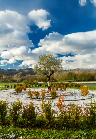 Flower bed in the Tuscan hills with winter just startedの写真素材