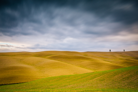 Typical landscape in Val D'Orcia, Tuscany (Italy)の写真素材