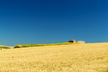 The land of Sicily in early summer near Trapaniの写真素材