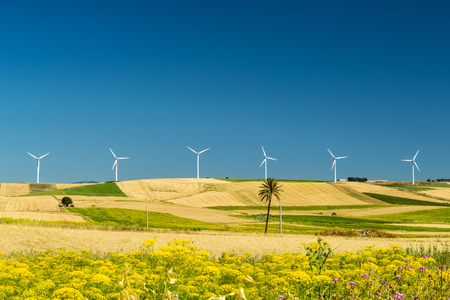 The land of Sicily in early summer near Trapaniの写真素材