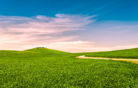 The beautiful landscape of the Val d'Orcia in Tuscany. The area is also famous for producing excellent wine.の写真素材