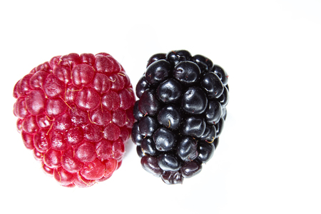 Closeup of a blackberry and a raspberry, a seasonal fruit, a prelude to summerの写真素材