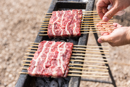 The arrosticini, a typical food from the Abruzzo region (Italy). Small skewers of sheep meat in this case ready to be cooked on the grillの写真素材