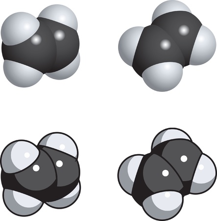 A space fill model of ethylene.のイラスト素材