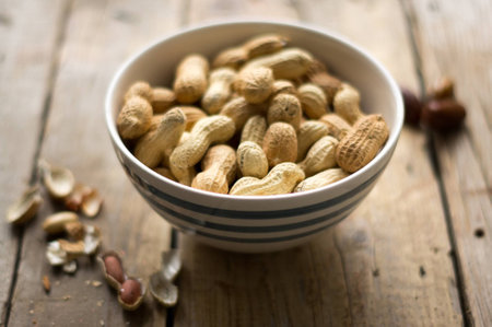 bowl of nuts and datesの写真素材