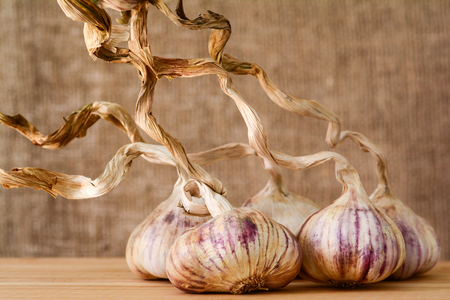 Closeup of whole garlic cloves on a wooden backgroundの写真素材