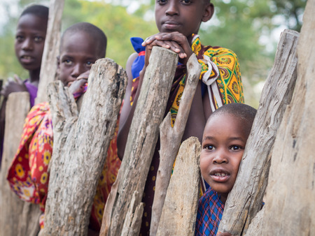 Maasai children next to a wooden goat fence in their boma village in Tanzania, Africa.のeditorial素材