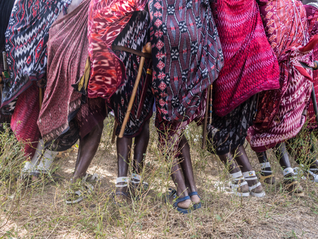 Maasai boys doing the traditional jumping during the ceremony of transition into a new age-set for young boys and girls in Tanzania.のeditorial素材