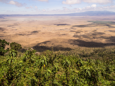 Ngorongoro Crater seen from the rim.の写真素材