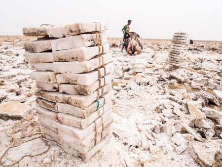 DANAKIL DEPRESSION, ETHIOPIA - JUNE 29, 2016: Afar man mining salt from salt flats in Afar region, Danakil Depression, Ethiopia, and loading it onto a camel. Pile of salt blocks in the foreground.のeditorial素材