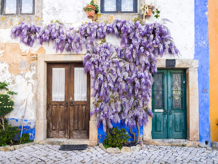 Purple wisteria plant growing around doors of an old house in Portugal.の写真素材