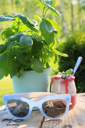 blue sunglasses on a background of a mint pot with basil and strawberry dessert with greenery aroundの写真素材