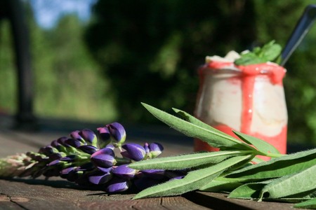 Strawberry dessert on a wooden plank with a single wild flowerの写真素材