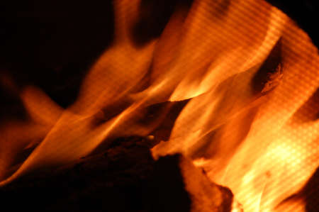 Close up of burning fire in the fireplace.