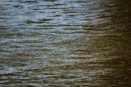 Water ripples on the river surface.の写真素材