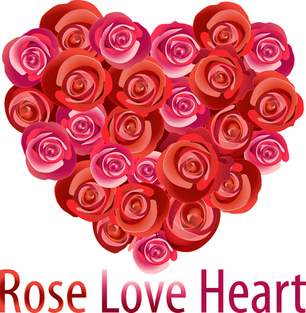 Vectors illustration of Rose love heartのイラスト素材