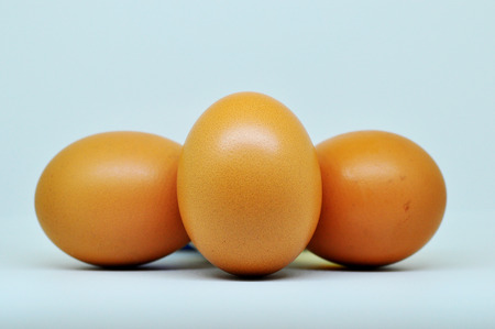 chicken egg isolated on white background.の写真素材