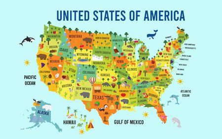 Vector Illustration United States of America flat design