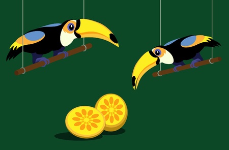Two cartoon toucans on green backgroundのイラスト素材