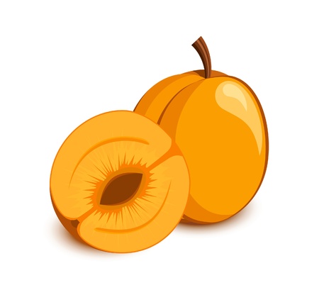 Apricot icon. Fruits and vegetables collectionのイラスト素材