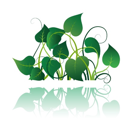 Green leaves with flourishes, summer icon のイラスト素材