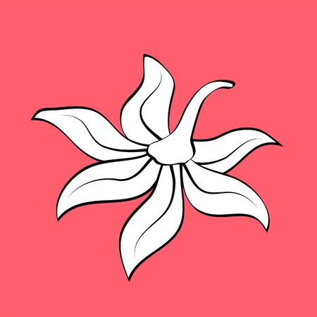 Hand drawn floral element for designのイラスト素材